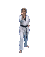 52_3.gif (84136 octets)