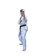 65_6.gif (59846 octets)